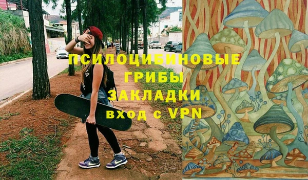 не бодяженный Санкт-Петербург