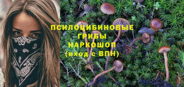 стаф Покровск