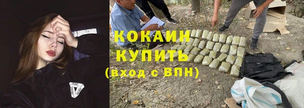 мдпв Ессентукская