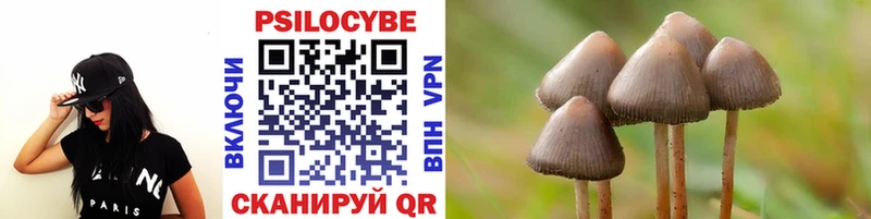 где продают   Харовск  Галлюциногенные грибы GOLDEN TEACHER 